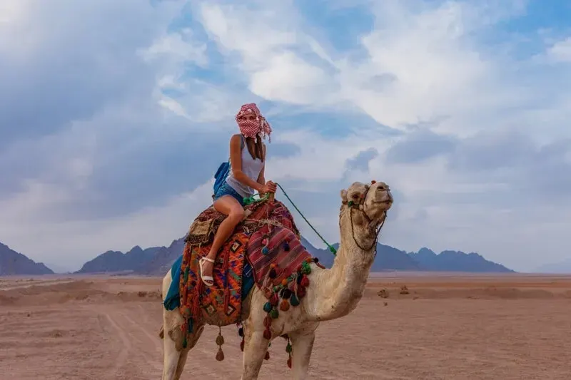 Guided Camel Ride — Hurghada